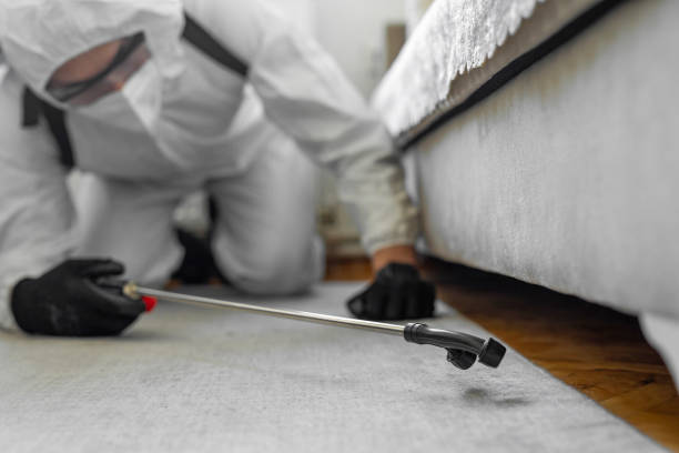 Professional Termite Control technician working in Harrisonville, MO