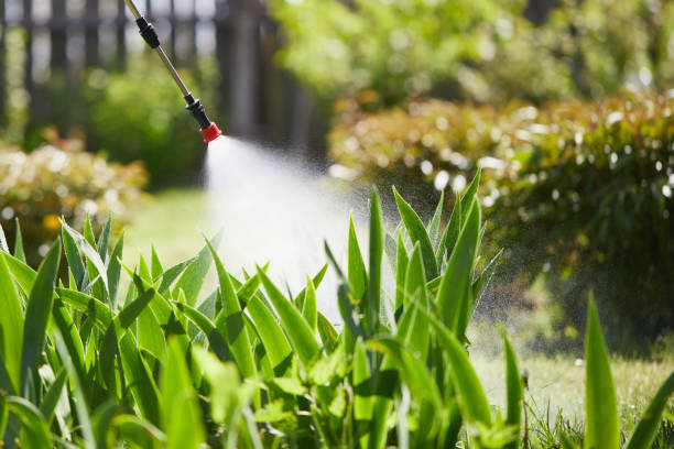 24/7 Emergency Termite Control experts in Harrisonville, MO