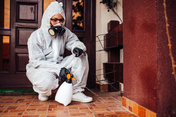 Reliable Termite Control contractor in Harrisonville, MO by Nex Pest Control